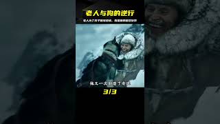 真實事件改編：為救全鎮孩子，老人與狗硬闖絕境！ #韩剧剧情 #韩剧解说 #韩剧推荐 #韩剧 #韩剧安利