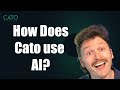 How does Cato use AI?