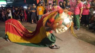 2016/9/3三重南天心定宮建宮50週年遶境~台灣獅