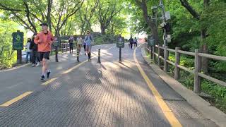 Walking from the Bus Stop 01 into the Namsan Tower N Seoul Tower