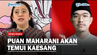 Puan Maharani akan Temui Kaesang untuk Mengonfirmasi Soal Bergabung ke PSI