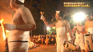 「去年より人も多くて活気あふれていた」大崎八幡宮で“どんと祭”　裸参りに71団体から1400人が参加　仙台