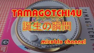 TAMAGOTCHI 4U・たまごっち誕生の瞬間