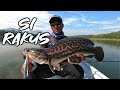 Toman Bujang Rakus (Giant Snakehead) | Duo Realis Pencil 110