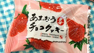 あまおう苺チョコクッキー (ほがや) Amaou Strawberry Chocolate Cookies