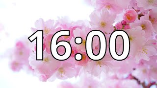 16 Minutes Timer with Music | Cherry Blossom Timer