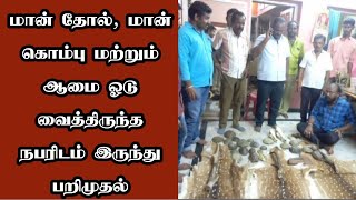 மான் தோல், மான் கொம்பு மற்றும் ஆமை ஓடு வைத்திருந்த நபரிடம் இருந்து பறிமுதல்