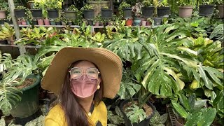 Plantita Journey Vlog #190 || More premium quality plants you can find at Kayce’s Garden 👌🤗😍🌿🌱