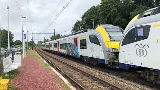 NMBS / SNCB Trains (Desiro ML, M6) | Sint-Genesius-Rode, Linkebeek, Ukkel-Kalevoet (BE) - 4K