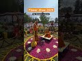 raj bhawan flower show 2025 lucknow’s grand floral festival floral exhibition 2025 ytshorts