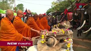 สวนนงนุชนำช้างแสนรู้ตักบาตรวันช้างไทย | ข่าวชนช่าวเที่ยง | 13 มี.ค.61 | NEW18