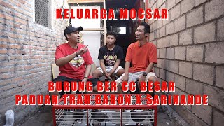 KELUARGA MOCSAR WSGN BURUNG BER CC BESAR PODIUM MOTOR || ADEK DAN ANAKNYA JUGA BER CC BESAR