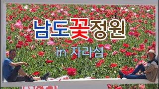 가평 가볼만한곳 자라섬 남도 꽃정원 가평 왔으면 이정도 정원은 걸어줘야죠 차크닉 바로옆 자라섬캠핑장 캠핑