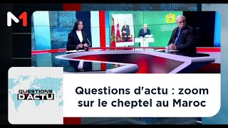 #QuestionsDactu.. Zoom sur le cheptel au Maroc