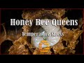 Apis mellifera Honey Bee Queens Overheating - Temperature Stress In Apiaries - Beekeeping