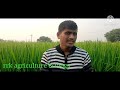 rice panicle mite వరి లో కంకి నల్లి నివారణ