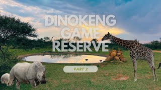 Dinokeng game Reserve |Mongena game lodge|Game drive