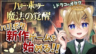 【魔法の覚醒】⚡ポッタリアン子ﾗｲｵﾝいざ入学！ハリポタ新作ゲーム！【ハリーポッター】VTuber stream