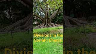 కోరంతి సంఘంలో విభజనలు Divisions in Corinth Church