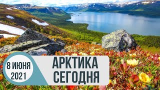 Арктика сегодня: нефтедобыча, научные экспедиции, «арктический гектар»