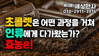 우리가 즐겨먹는 초콜렛의 놀라운 효능! [배대열의 세상만사]