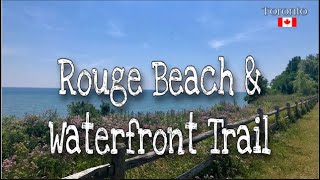 🇨🇦 4K Walking Tour: Rouge Beach to Rouge Hill Go Station | Toronto | Ontario | Canada