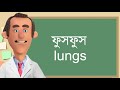 body and health শরীর এবং রোগের নাম spoken english bangla my school edu