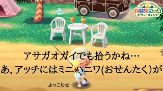 【ポケ森】つり大会ランダム結果　チャレンジスミクッキー　ミニハニワあつめ『ハッピー！お洗濯タイム』　どうぶつの森ポケットキャンプ