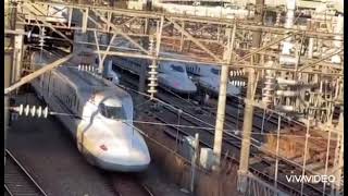 JR西日本、博多総合車両所　広島支所へ入庫する新幹線たち🚄【広島】【車両基地】