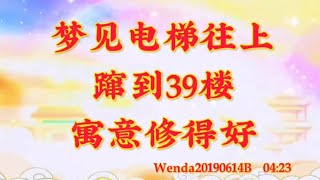 卢台长开示：梦见电梯往上蹿到39楼，寓意修得好Wenda20190614B   04:23