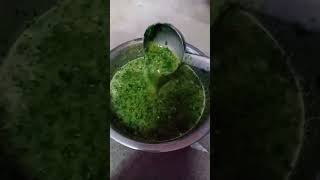 அம்மா செய்த பசுமை மாறாத முறுங்கை கீரை கடையல் 👌 கிராமத்து தோழி 🌴