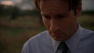 X-Files - The Field Where I Died