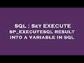 SQL : Set EXECUTE sp_executesql result into a variable in sql