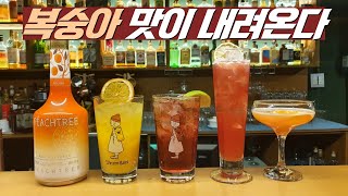 복숭아 리큐르 피치트리(Peach Tree) 한병털기 칵테일 5종(퍼지네이블, 헤리 네이블, 우우, 피치 크러쉬, 피치 블로썸)