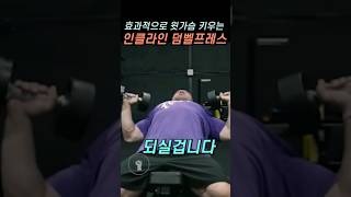 효과적으로 윗가슴 키우는 인클라인 덤벨 프레스 노하우