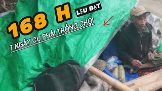 7 ngày trôi qua .cụ vẫn nằm.trăn ướt sũng/tình cha con.không còn gì đẻ nói