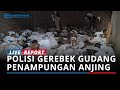 BREAKING NEWS : Polisi dan Komunitas Satwa Gerebek Gudang Penampungan Anjing di Banyuwangi