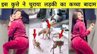इस कुत्ते ने चुराया लड़की का Kacha Badam | Kacha Badam Viral Song | Anjali Arora