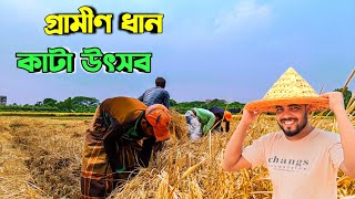 গ্রামের বৈশাখী  ধান কাটার উৎসব ||Boishakhi golden rice harvest || আমি যখন এক দিনের কৃষক।