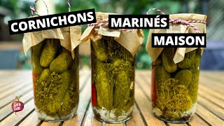 CORNICHONS MARINÉS MAISON 🥒 Meilleure recette pickle !