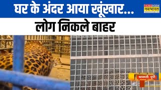 UP News: Shravasti में Leopard ने दी दस्तक...पूरे गांव में फैली दहशत | Latest Hindi News | Top News