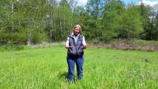 Pasture Management Basics