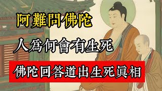 阿難問釋迦牟尼：人為何會有生死？佛陀回答道出生死真相。#佛教 #佛家 #佛法 #佛學知識 #佛學智慧 #修心修行 #佛教文化 #禪悟人生 #傳統文化