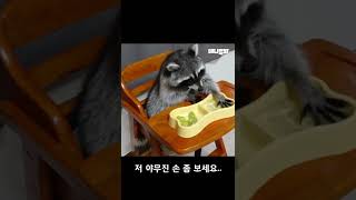 자기 먹을 포도 직접 씻어먹는 라쿤ㅋㅋ #shorts