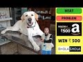 Pet Care - Female Dog Heat Problem - Bhola Shola Pet Care - Female Dog Heat Problem - Bhola Shola