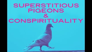 Superstitious Pigeons