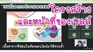 เซลล์และการทำงานของเซลล์ เรื่อง โครงสร้างและหน้าที่ของเซลล์ @krukom_ch