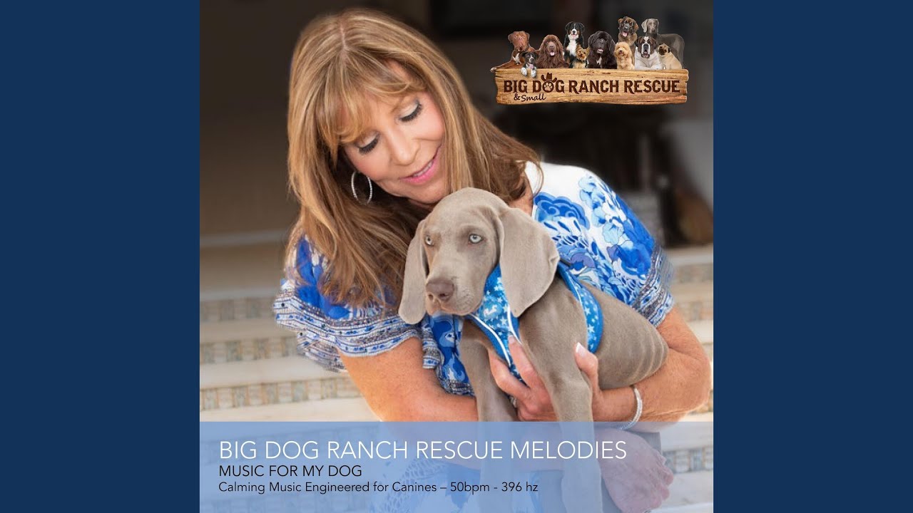 Puppy Love Serenade Feat Kamaal Malak Alexandre Heiche William B