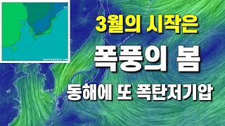 3월의 시작은 폭풍의 봄 - 동해에 또 다시 폭탄저기압 발생