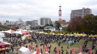 宇都宮餃子祭り２０１５　会場の様子